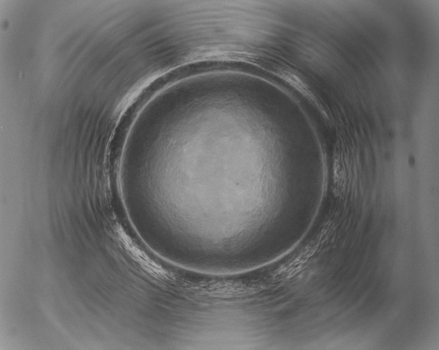 X0000057040972200509091102