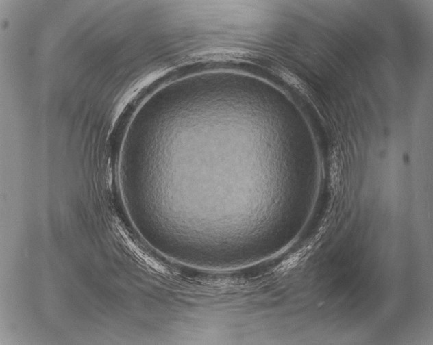 X0000057040973200509091102