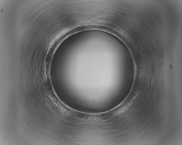 X0000057040974200509091102