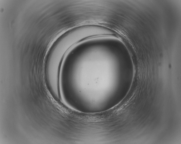 X0000057040976200509091102