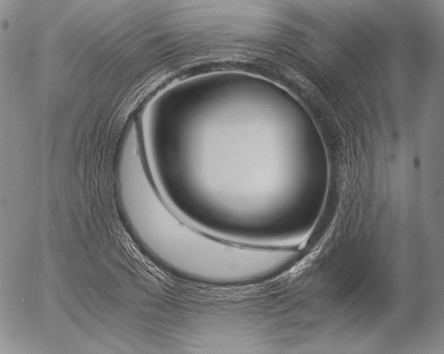 X0000057040977200509091102