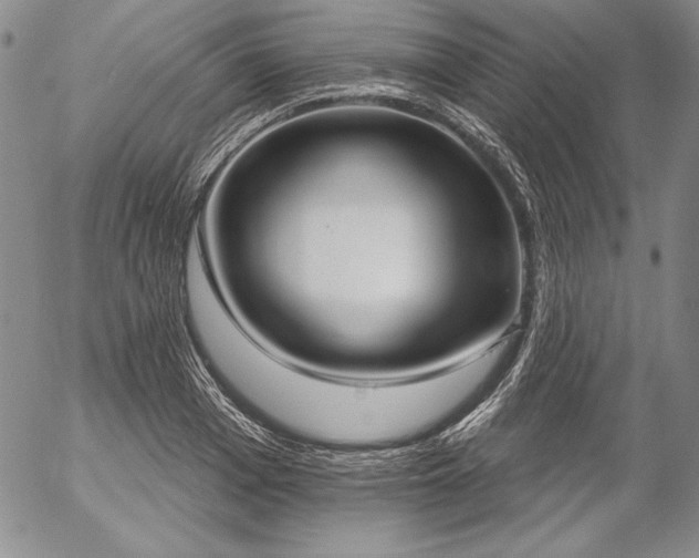 X0000057040985200509091102