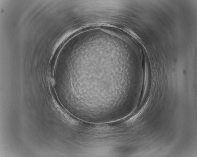 X0000057040989200509091102