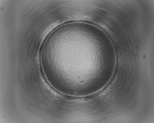 X0000057040990200509091102