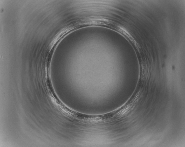 X0000057040994200509091102
