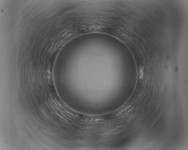 X0000057041011200509091101