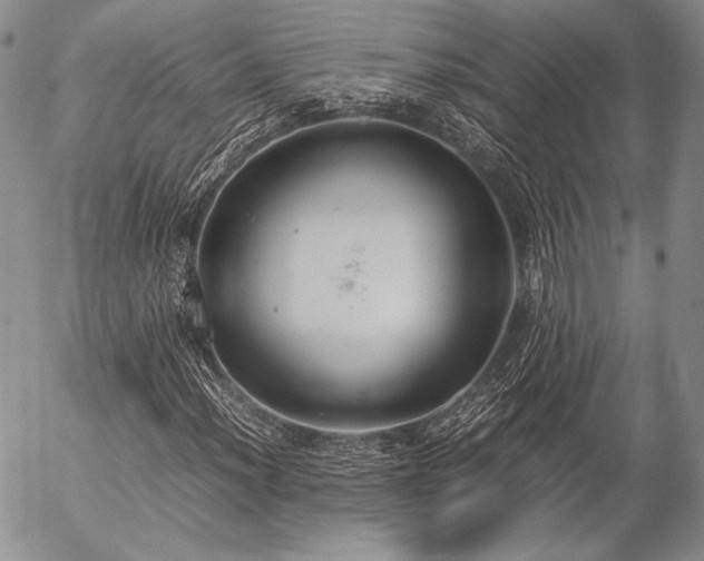 X0000057041012200509091101