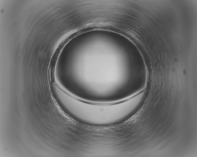 X0000057041030200509091101