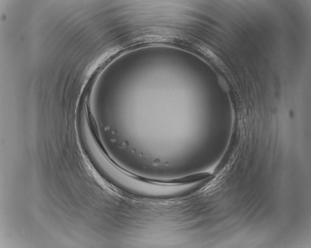 X0000057041034200509091101