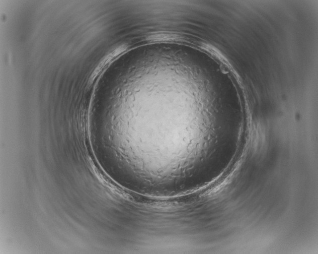 X0000057041049200509091101