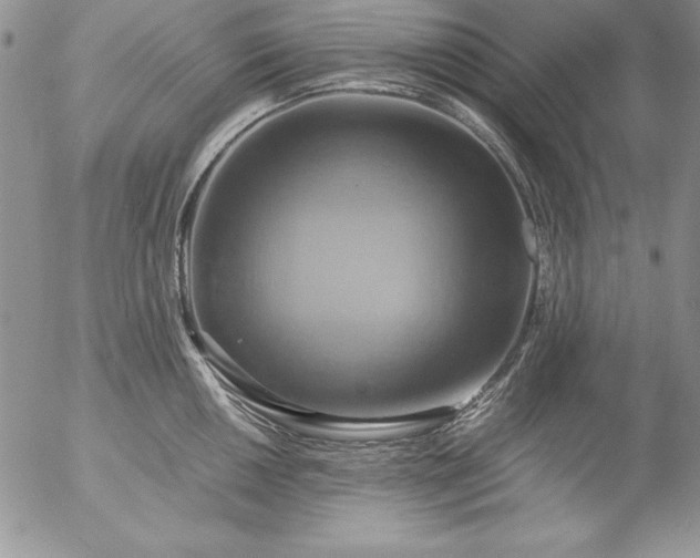 X0000057041050200509091101