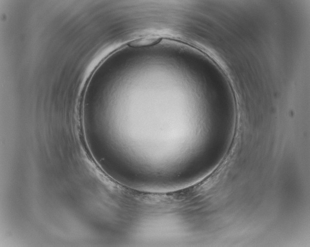 X0000057041056200509091101