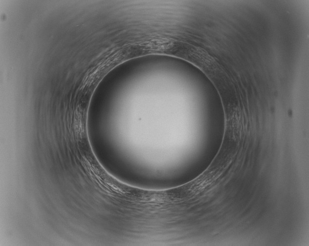 X0000057041058200509091101