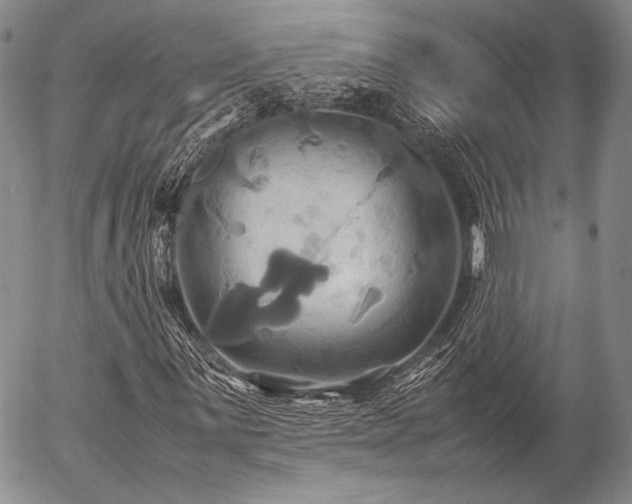 X0000057041059200509091101