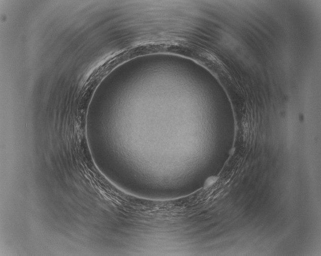 X0000057041064200509091101