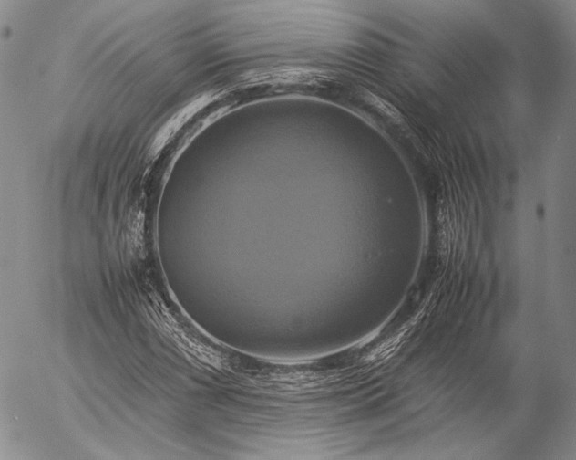 X0000057041066200509091100