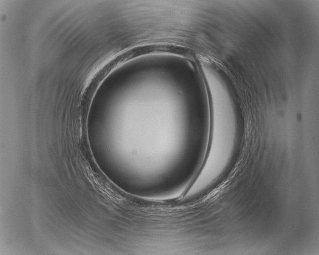 X0000057041069200509091100