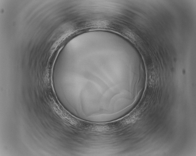 X0000057041074200509091100