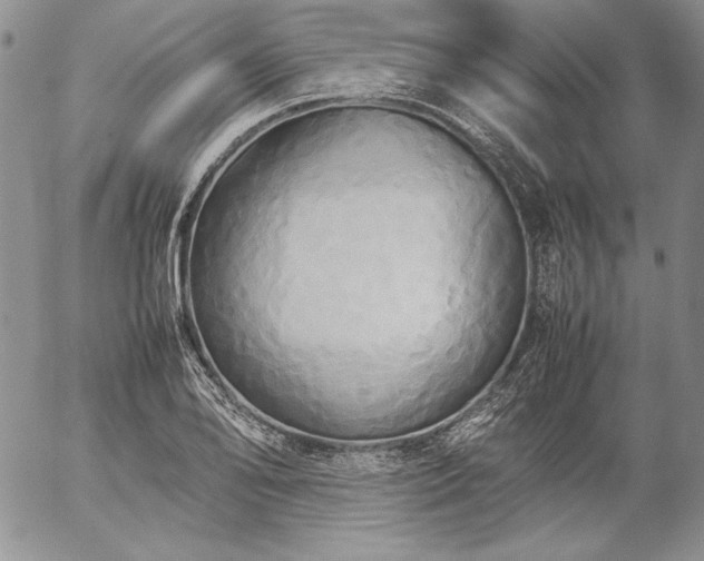 X0000057041078200509091100