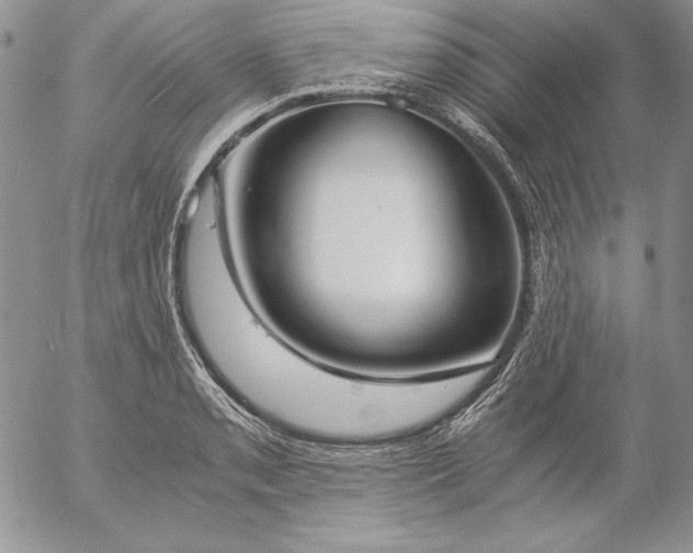 X0000057041085200509091100