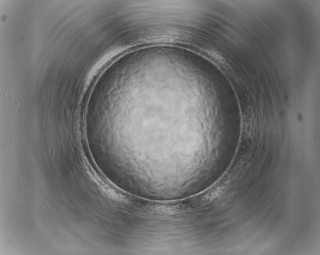 X0000057041086200509091100