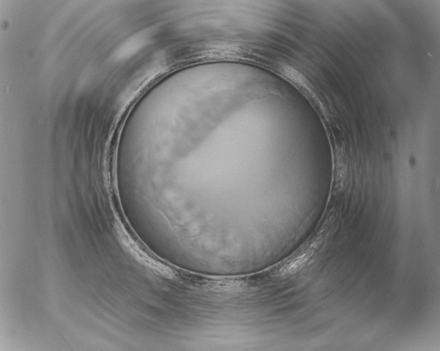 X0000057041090200509091100