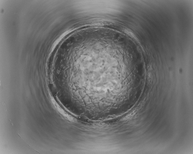 X0000057041091200509091100
