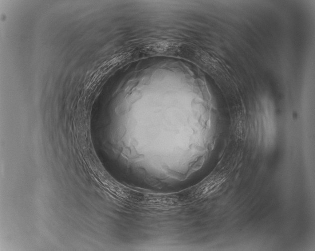 X0000057041105200509091059