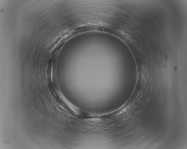 X0000057041110200509091059