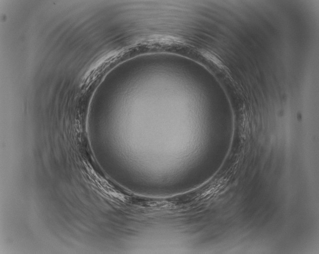 X0000057041112200509091059
