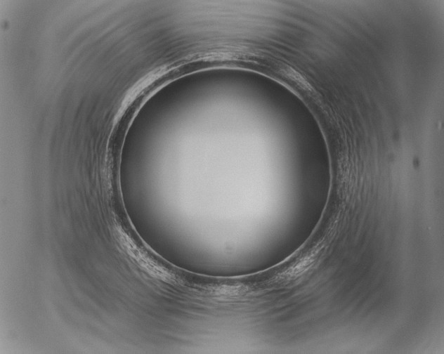 X0000057041122200509091059