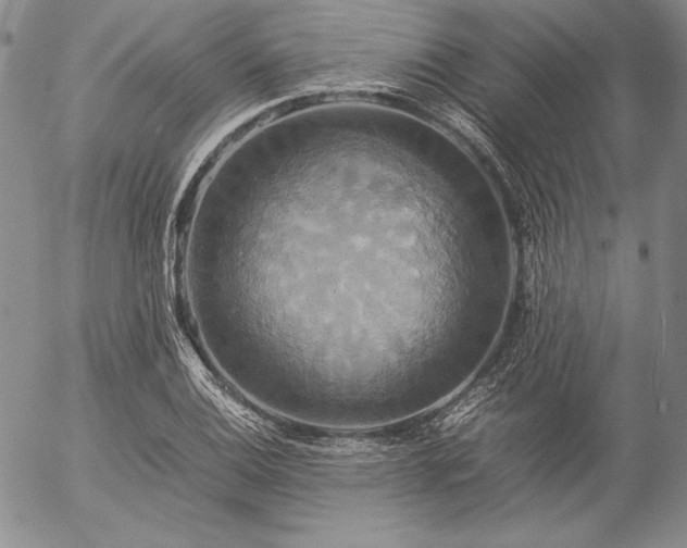 X0000057041124200509091059