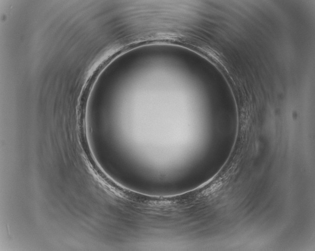 X0000057041135200509091100