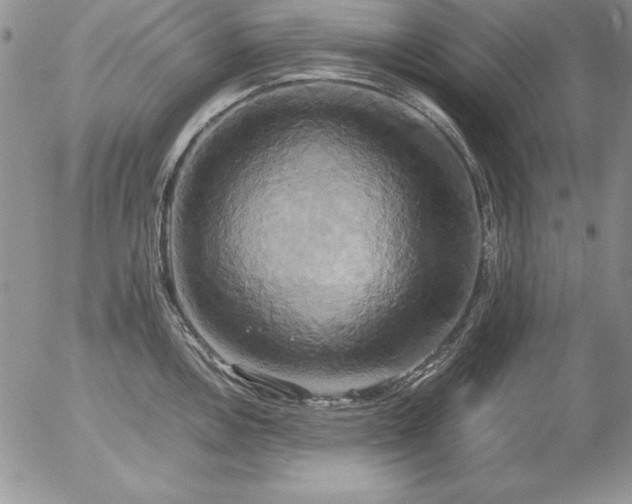 X0000057041146200509091100