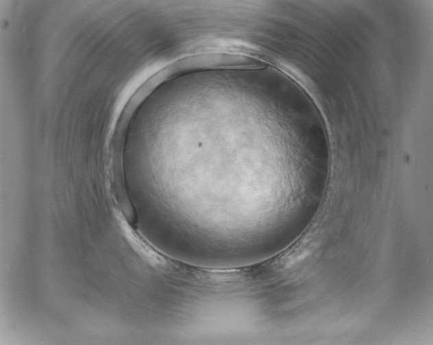 X0000057041152200509091100