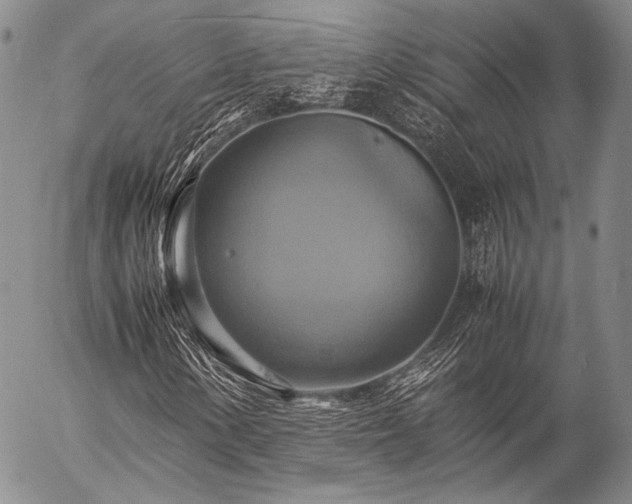X0000057041154200509091059