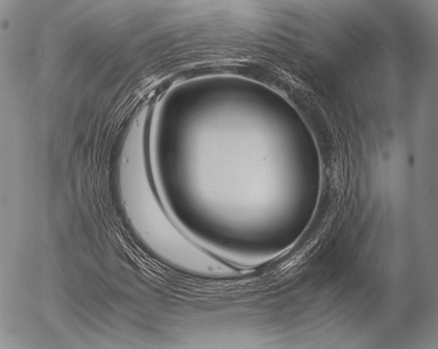 X0000057041161200509091059