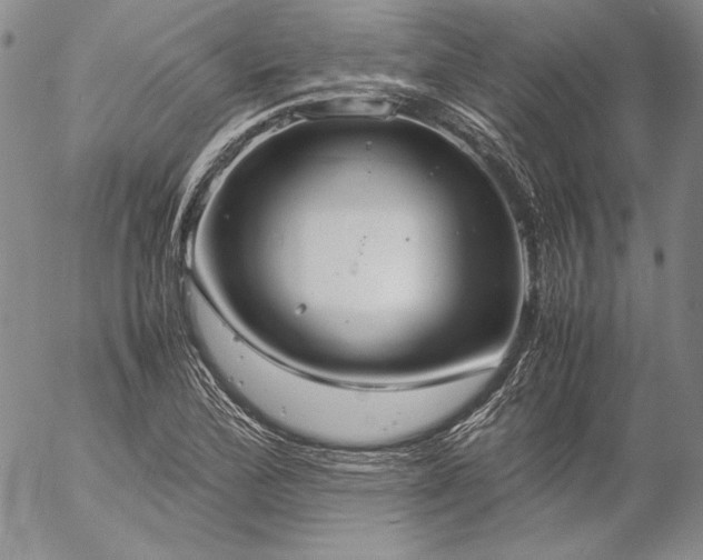 X0000057041172200509091059