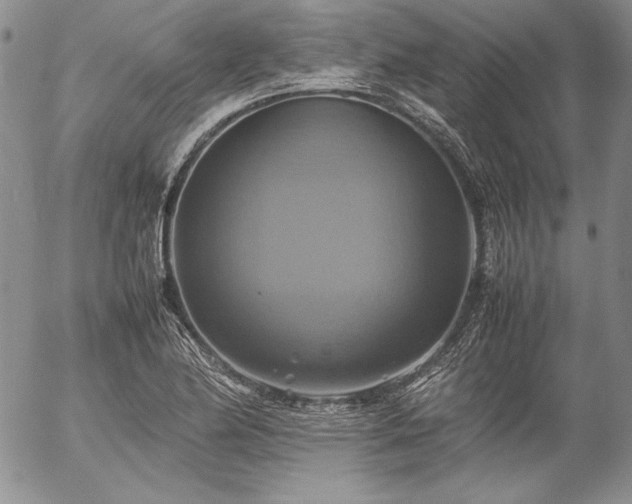X0000057041174200509091059