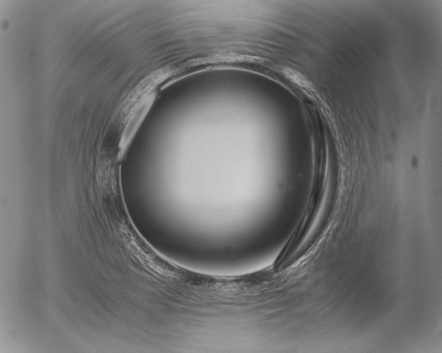 X0000057041177200509091059