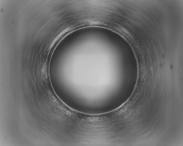 X0000057041182200509091059