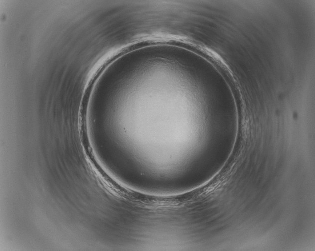 X0000057041183200509091059