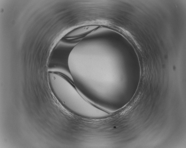 X0000057041184200509091059
