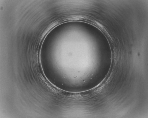 X0000057041186200509091059