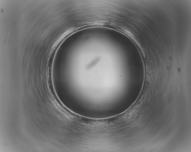 X0000057041187200509091058