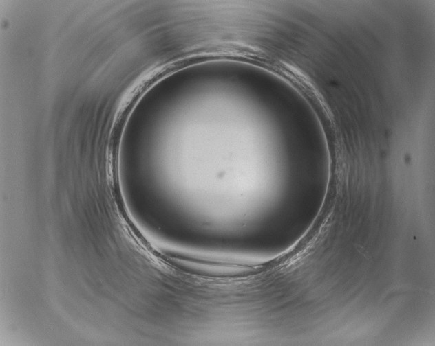 X0000057041188200509091058