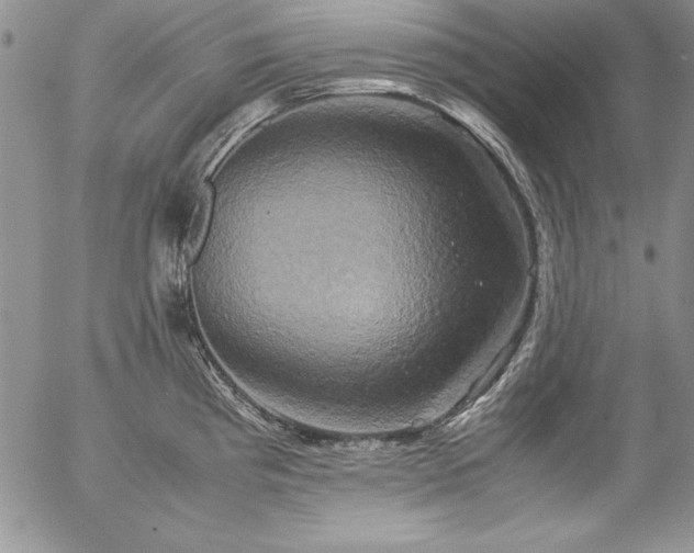 X0000057041193200509091058