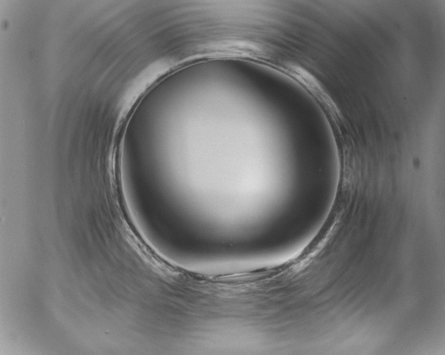 X0000057041196200509091058