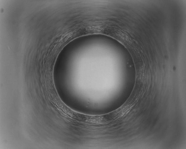 X0000057041201200509091057