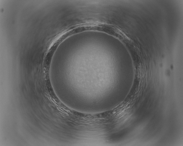 X0000057041208200509091058
